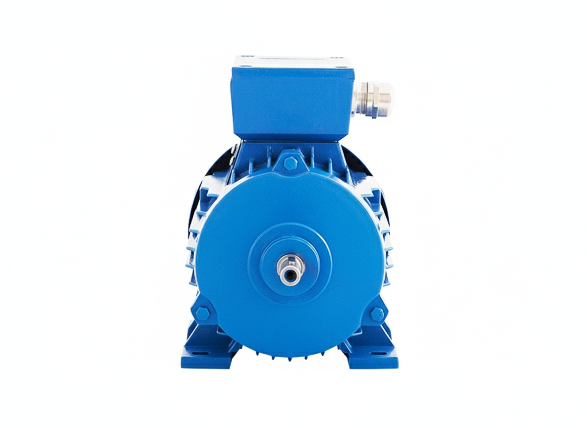 80 Type Electric Motor