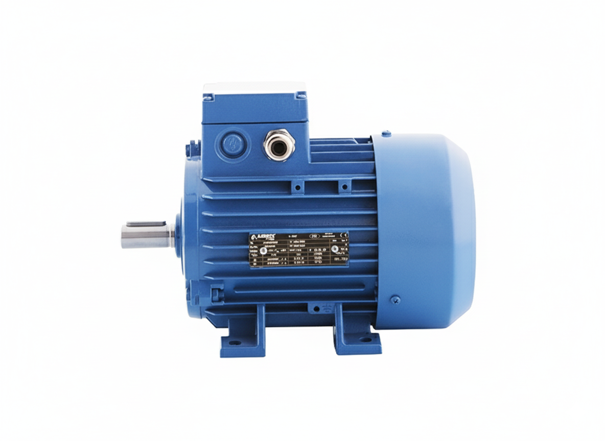100 Type Electric Motor